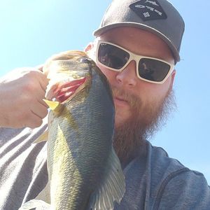 Meet your Posher, Devon